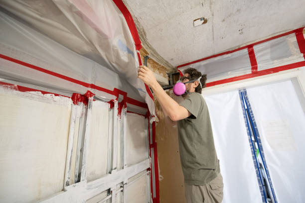 Best Mold Damage Restoration  in New Hope, MS